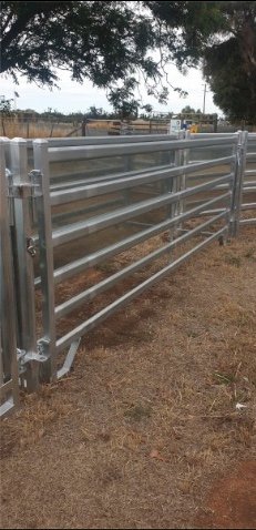 Under Auction - (A223) 20 x Sheep Panels 2.8m 