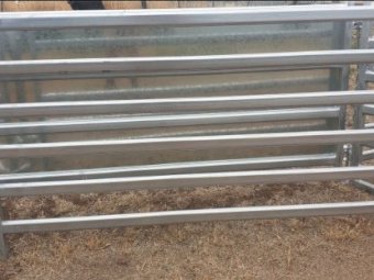 Under Auction - (A223) 25 x Sheep Panels 2.1m x 1.05m 