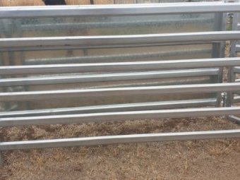 Under Auction - (A225) 20 x Sheep Panels 2.1m x 1.05m 