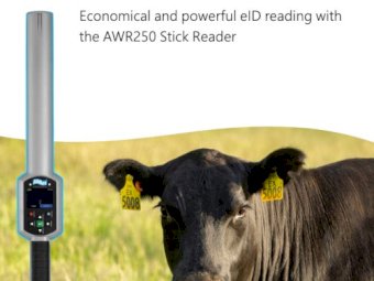 Allflex Stick Reader - AWR250 READER