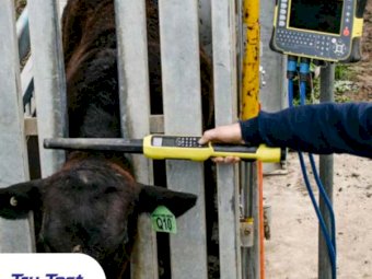 Tru-Test Heavy Duty HD5T Loadbars - Save $200 with Prime Ag Centre