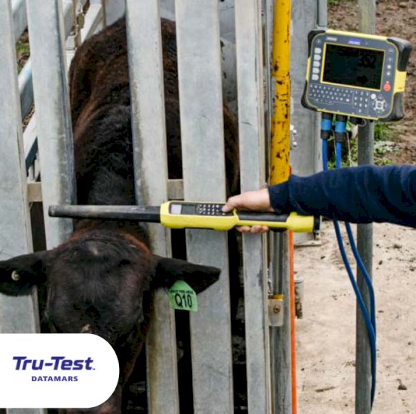 Tru-Test WEIGHING PLATFORMS - from $1,030 + GST delivered