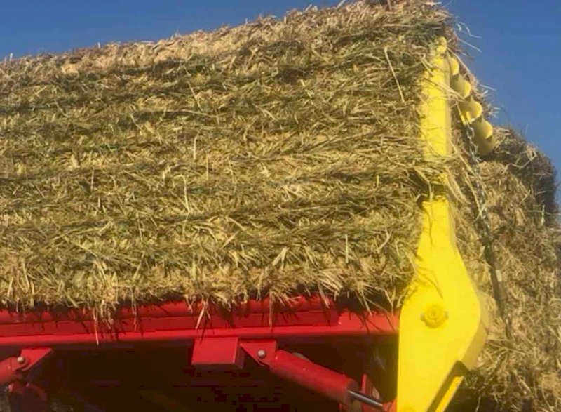 Millet Hay 8x4x3 Bales