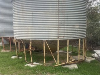 Field Bins 250-300 bags x 2