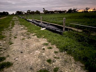 Feedlot Troughs "Negotiable"