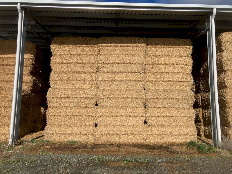 200mt Wheaten Straw 8x4x3 Bales