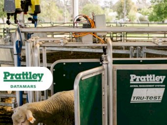 Prattley 3-Way Manual WeighCrate (Universal) - Freight included