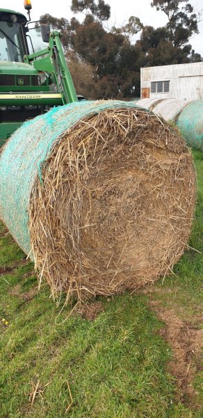 2021 Oaten Hay 5x4 Rolls