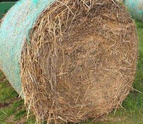 2021 Oaten Hay 5x4 Rolls