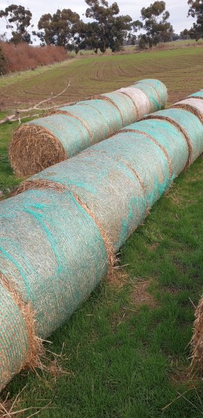 5x4 Oaten Hay