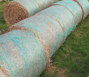 5x4 Oaten Hay