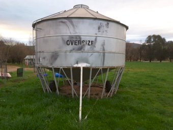 Nelson Field Bin