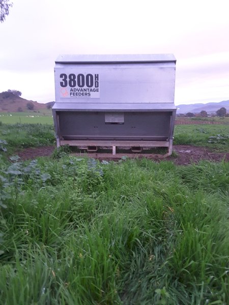 Advantage 3800 Feeder