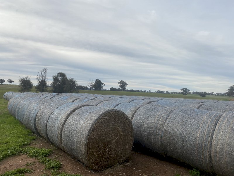 Rye Grass 5x4 Round Bales