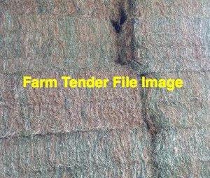 60mt Balansa Clover Hay 8x4x3 Bales