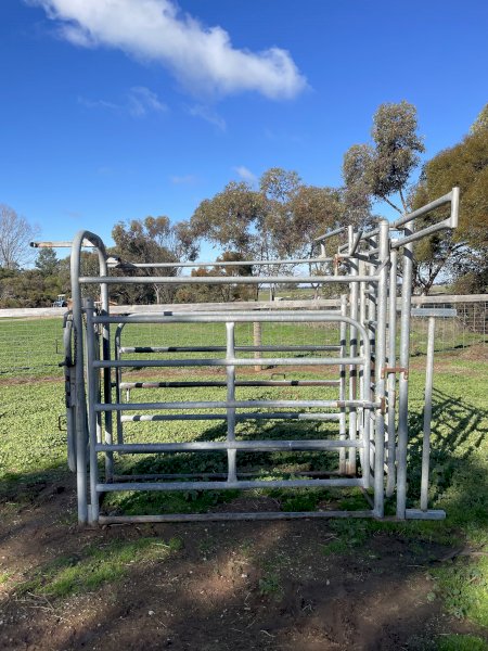 Cattle Crush