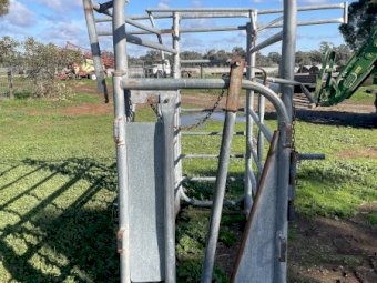 Cattle Crush