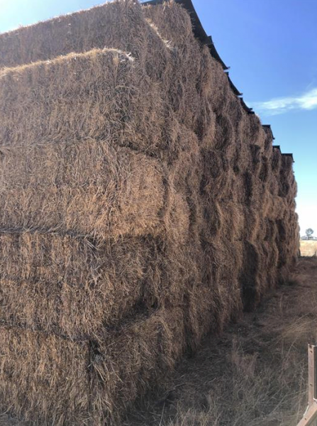52mt Clover Rye Hay 500kg 8x4x3 Bales