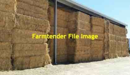 Top quality shedded Barley Straw
