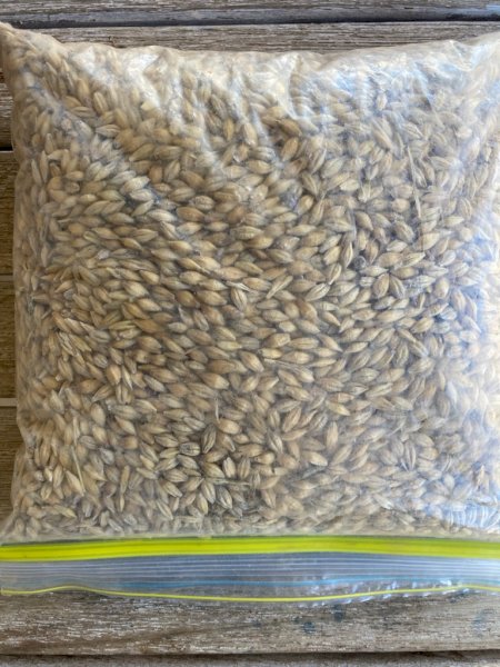 190mt F1 Barley