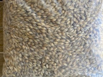190mt F1 Barley