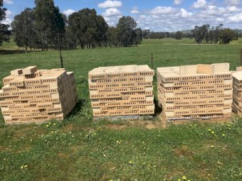 House Bricks