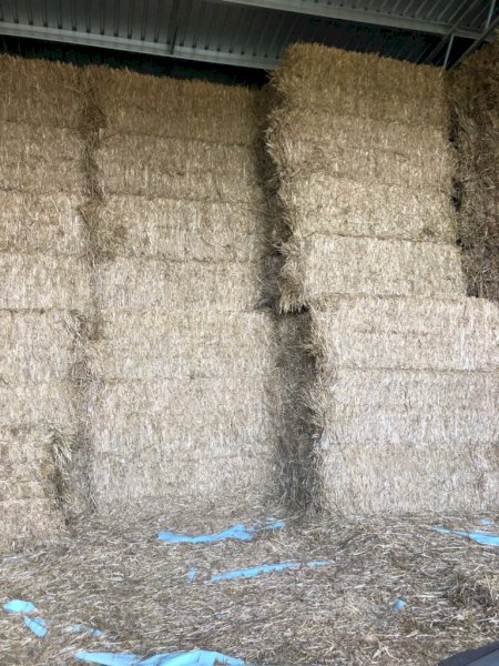 120mt Oaten Hay 8x4x3 Bales
