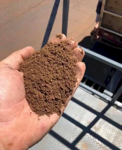 Palm Kernel Extract (Meal) Ex Melbourne