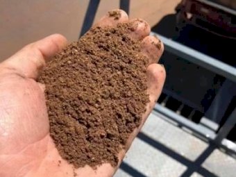 Palm Kernel Extract (Meal) Ex Melbourne