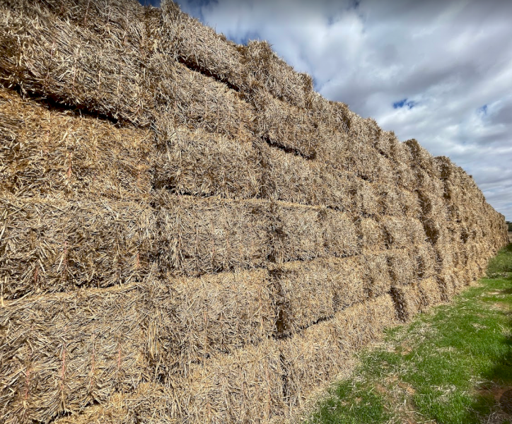 175mt Wheaten Hay 8x4x3 Bales