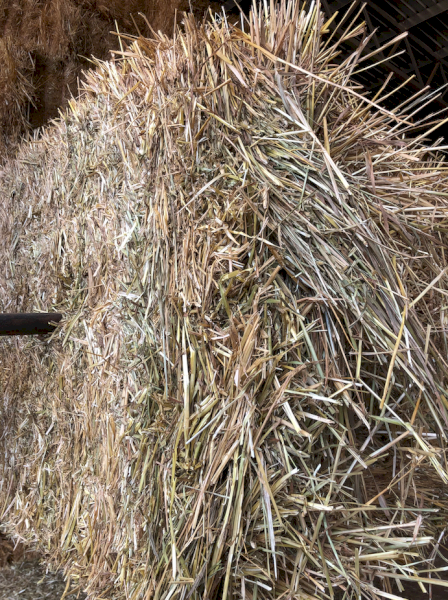 500mt Oaten Hay 650kg 8x4x3 Bales