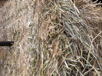 500mt Oaten Hay 650kg 8x4x3 Bales