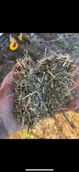 200mt Vetch Hay 650kg 8x4x3 Bales