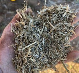 200mt Vetch Hay 650kg 8x4x3 Bales