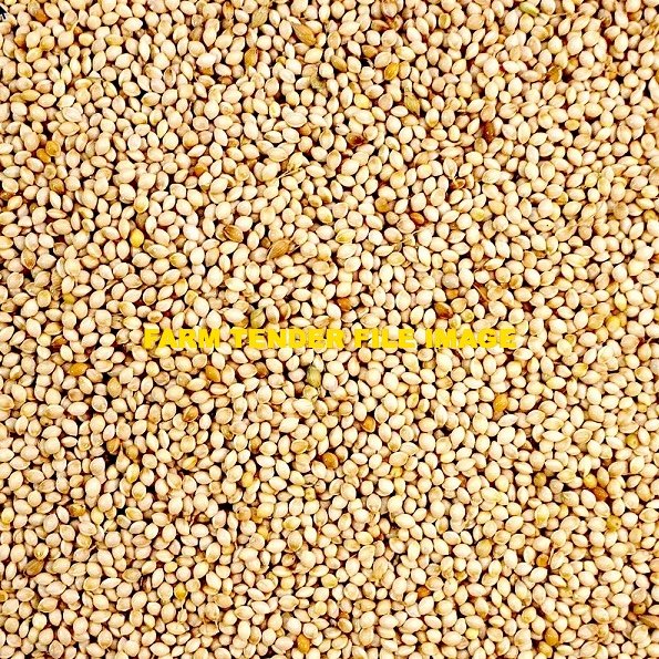 20 tonne Shirohie Millet