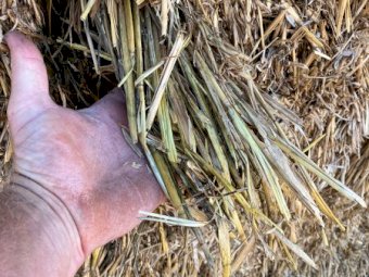 500mt Oaten Hay 500kg 8x4x3 Bales