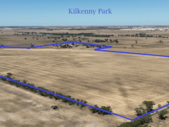 "Kilkenny Park"