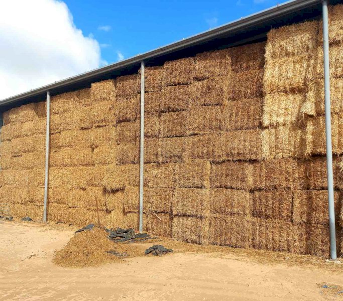 22/23 Season Vetch Hay
