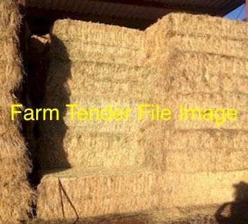 Clover Hay 8x4x3 Bales
