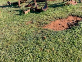 Assorted Row Cropping Equipment & More