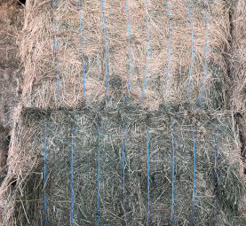 33 mt 2nd Cut Lucerne Hay