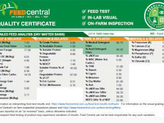 650mt Oaten Hay 600kg 8x4x3 Bales