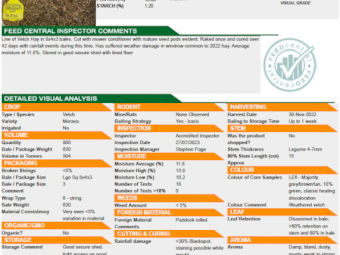 480mt Vetch Hay 600kg+ 8x4x3 Bales