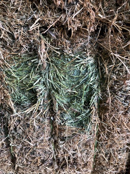 87 x Vetch Hay 670kg 8x4x3 Large Square Bales