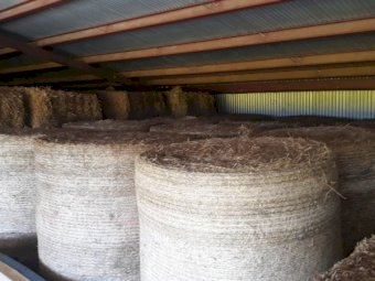 Vetch Hay 5x4 Rolls