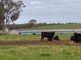 EOI  - 580 ACRES CATTLE/MIXED FARM