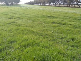 EOI  - 580 ACRES CATTLE/MIXED FARM