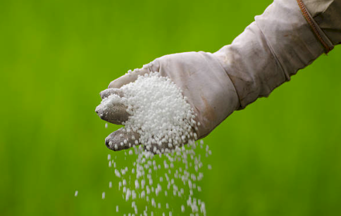 Urea Ex Brisbane