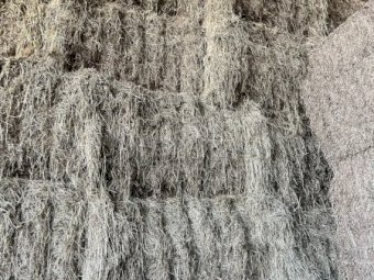 Clover Rye Hay