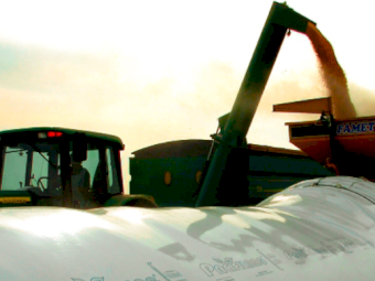 Pacifil Grain Bags - 9 x 75mtr 250 Micron